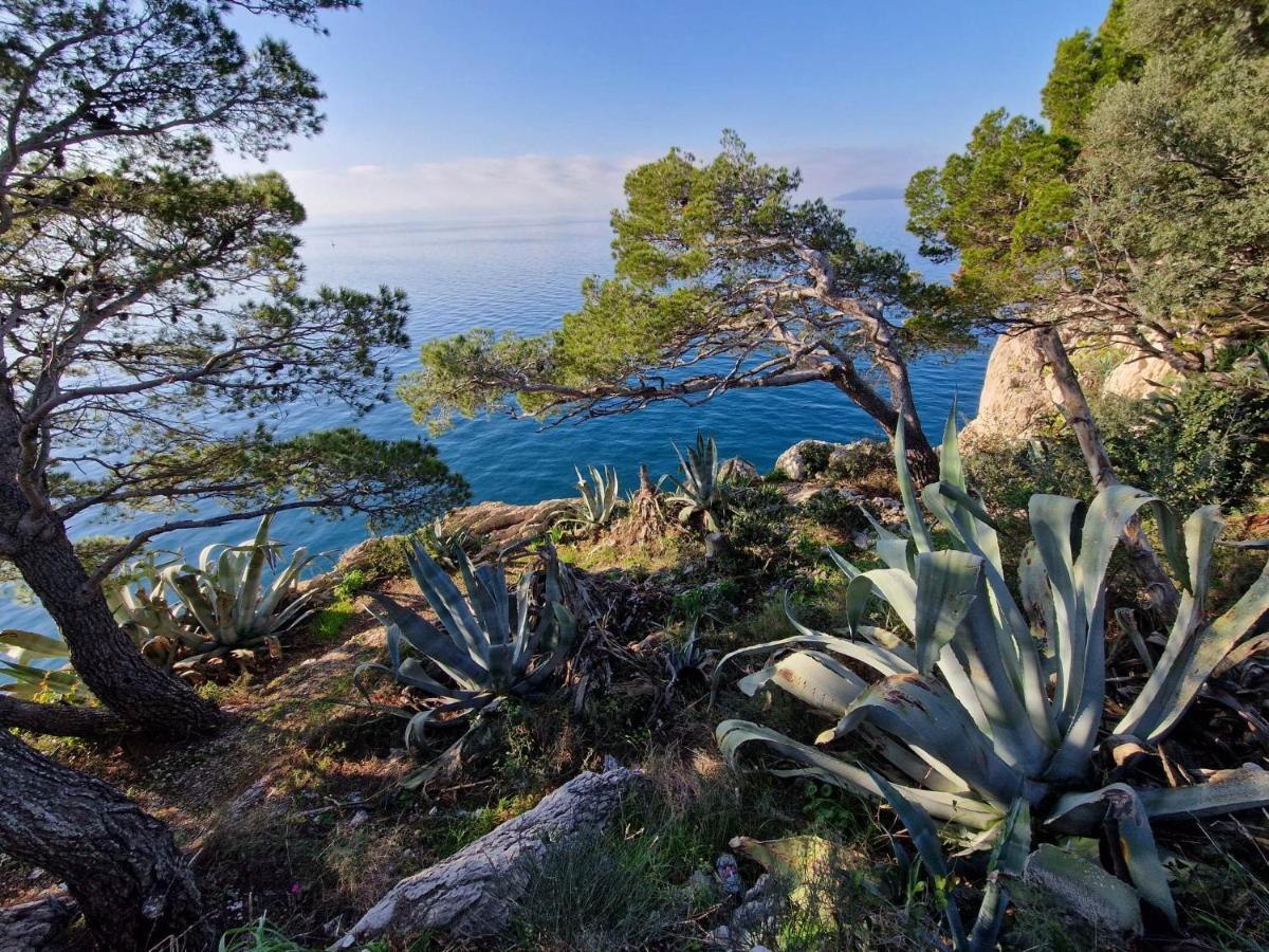 Apartment Villa Mirna Μακάρσκα Εξωτερικό φωτογραφία