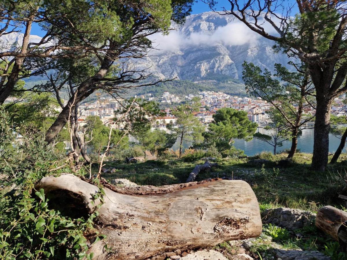 Apartment Villa Mirna Μακάρσκα Εξωτερικό φωτογραφία